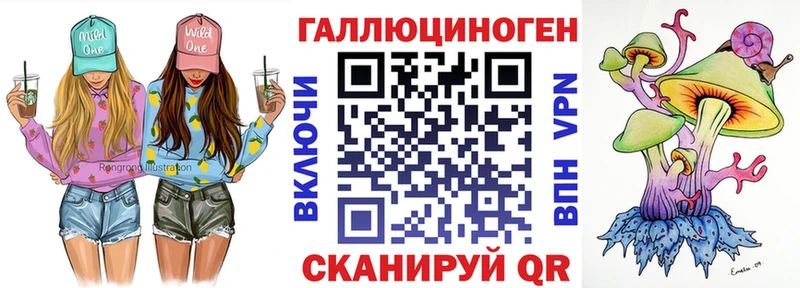 Псилоцибиновые грибы Psilocybine cubensis Цимлянск