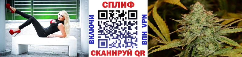 Каннабис MAZAR  Цимлянск 